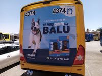 balu