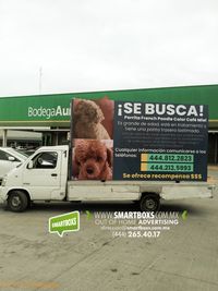 PERRO EXTRAVIADO