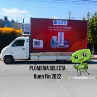 PLOMERIA SELECTA BUEN FIN